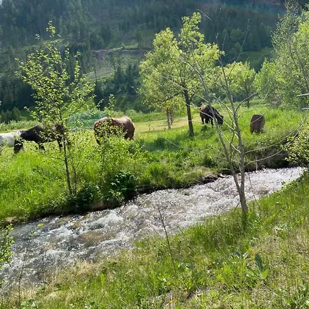 Haus Christina * Grosskirchheim