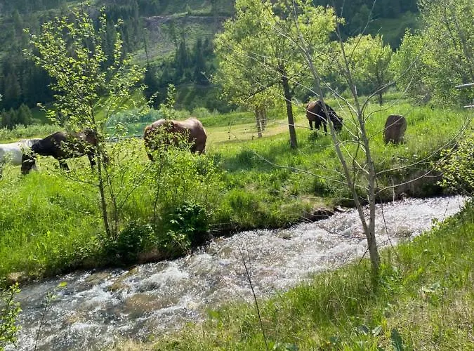Haus Christina * Großkirchheim